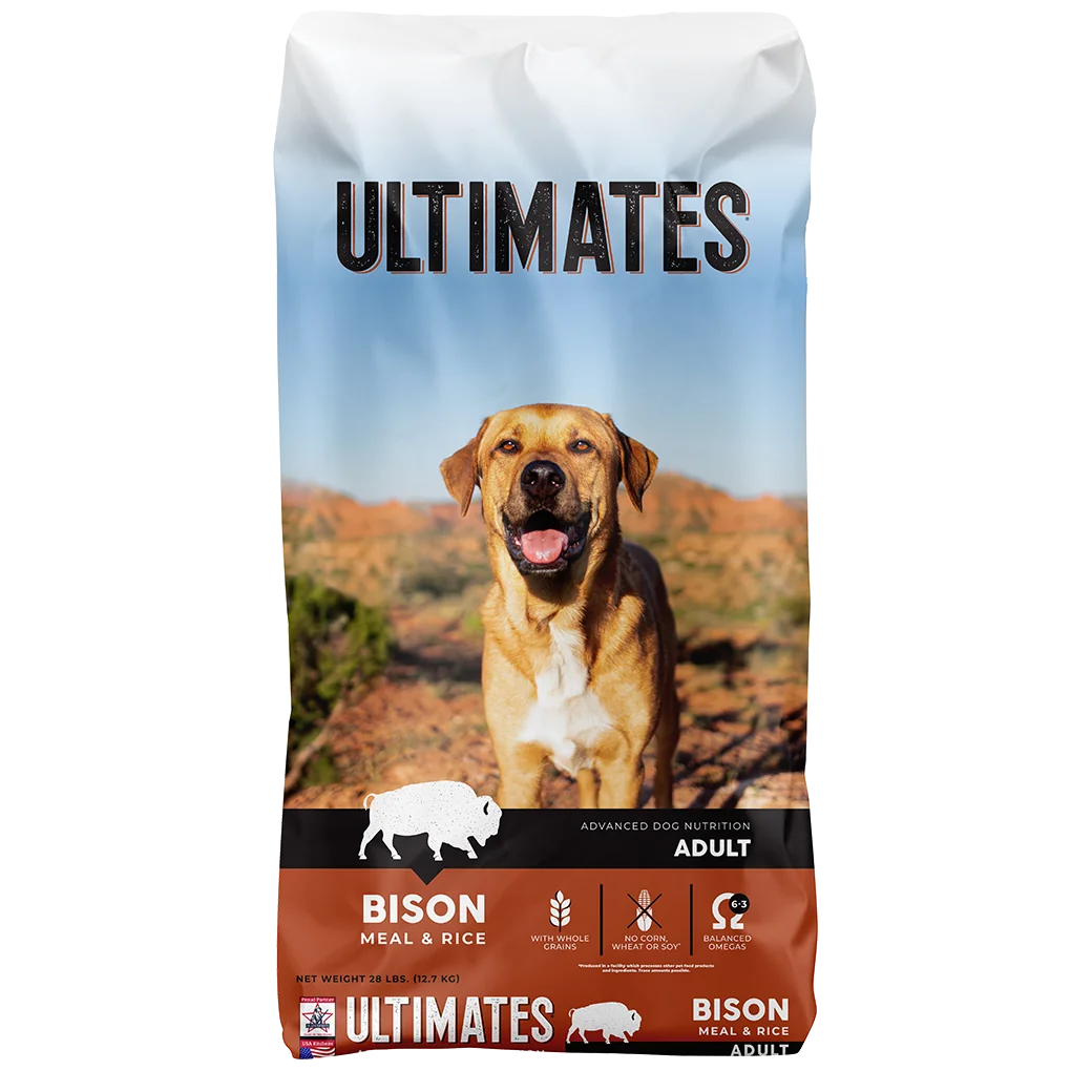 Whole grain wheat outlet in dog food