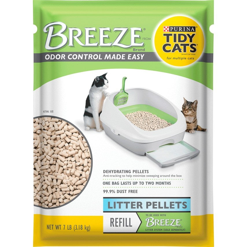 Cat Essentials Like Litter Boxes, Feeding Bowls, Carrying Cases