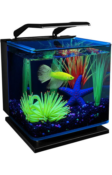 GloFish 3 Gallon Betta Aquarium Kit – Pet Food Center