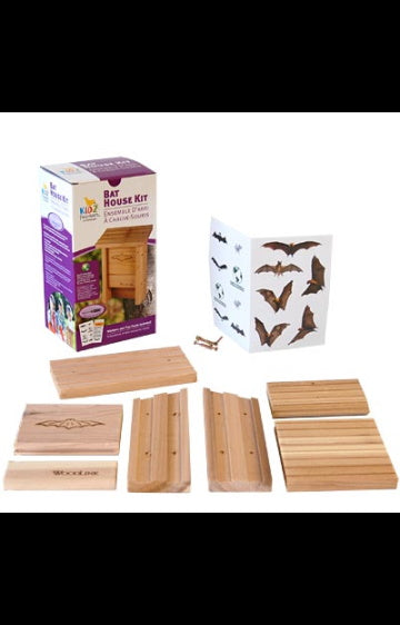 15 'Out of the Box' Craft Kits for Adults