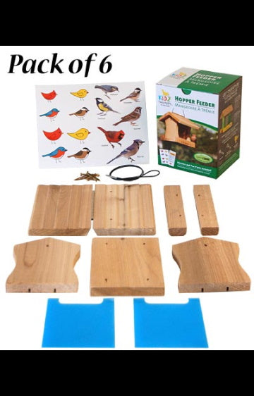 Woodlink Hopper Feeder DIY Craft Kits, Club Pack of 6 at