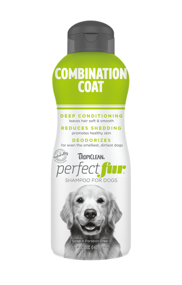 Perfect coat shampoo for 2024 dogs