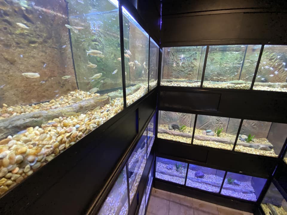 Fish Aquariums and Supplies in Evansville - Pet Food Center