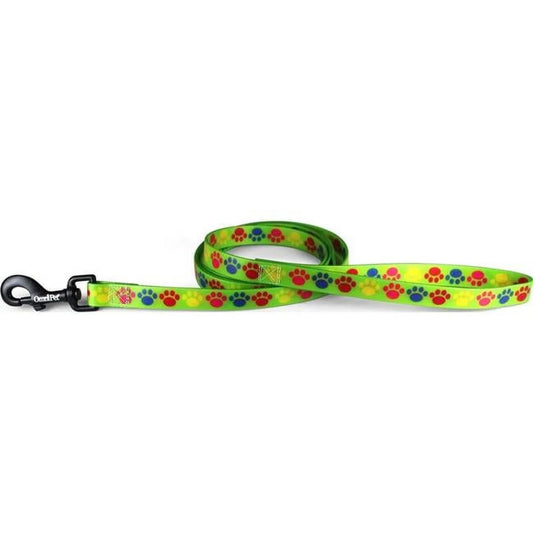 OmniPet Pop Paws Dog Collars & Leash