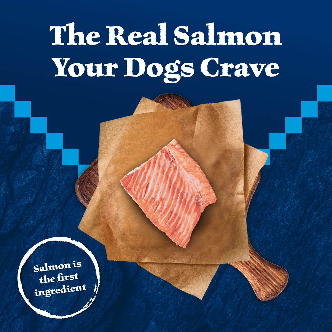 Blue Buffalo Wilderness Trail Treats Salmon Wild Bits Dog Treats