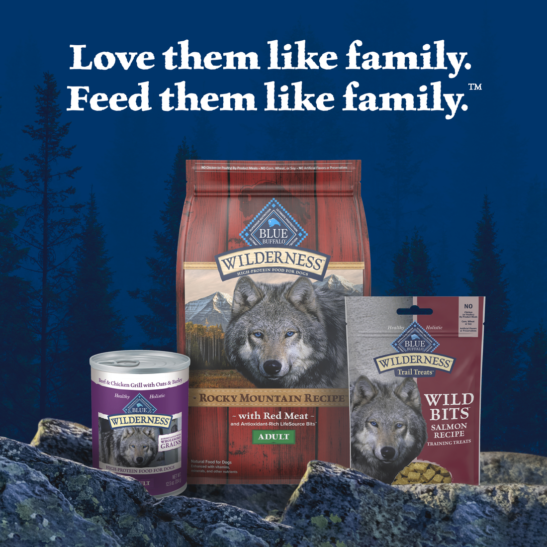 Blue Buffalo Wilderness Trail Treats Salmon Wild Bits Dog Treats