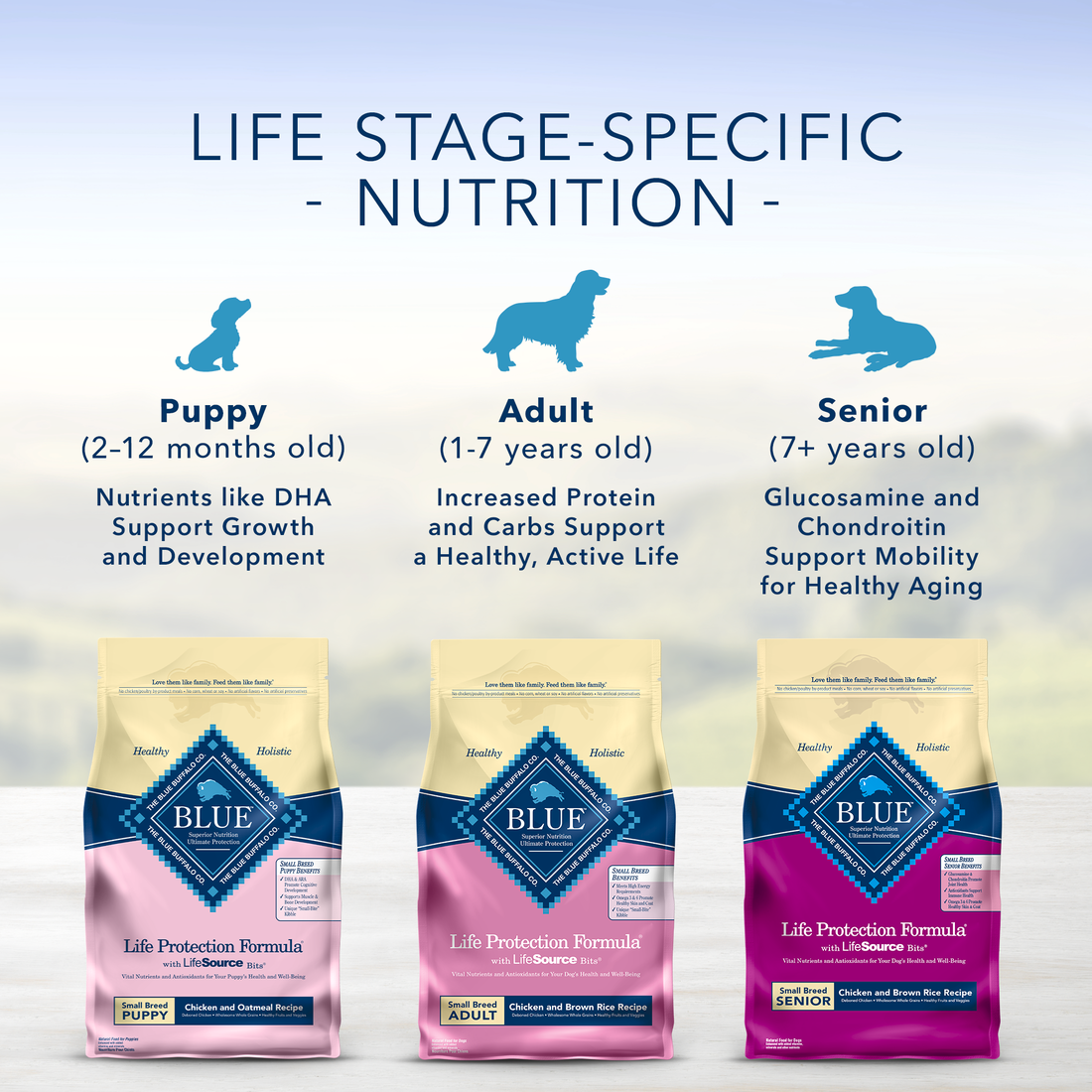 Blue Buffalo Life Protection Natural Chicken & Brown Rice Recipe Small Breed Adult Dry Dog Food