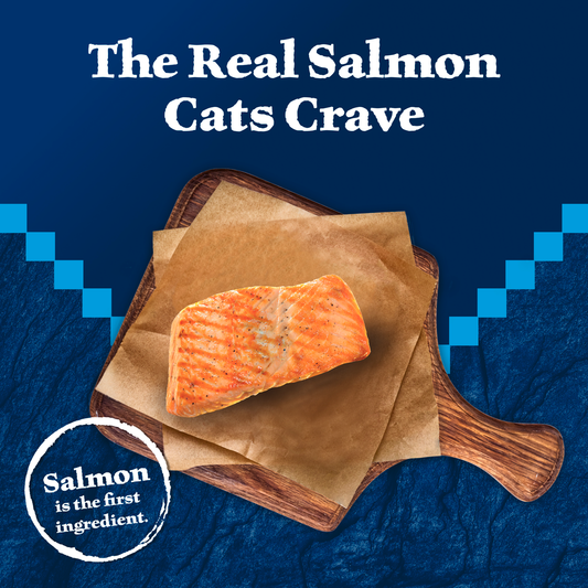 BLUE WILDERNESS CAT-SALMON