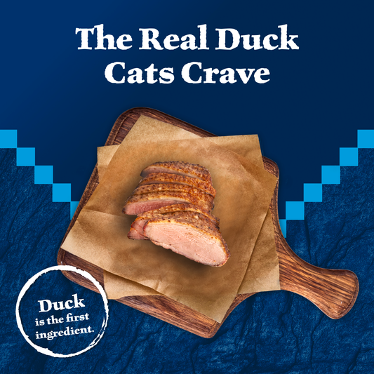 Blue Buffalo Wilderness Duck Recipe Canned Cat Food