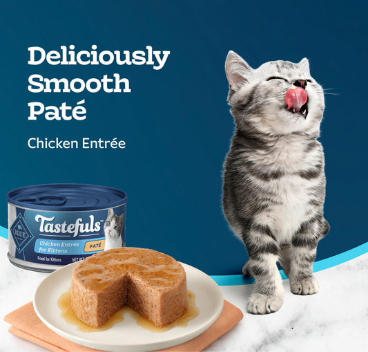 BLUE CAT CHICKEN KITTEN TASTEFULS PATE 3oz