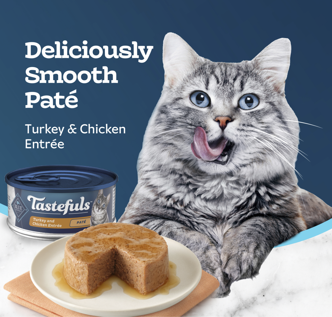 BLUE CAT TASTEFULS TURKEY CHICKEN 5.5z