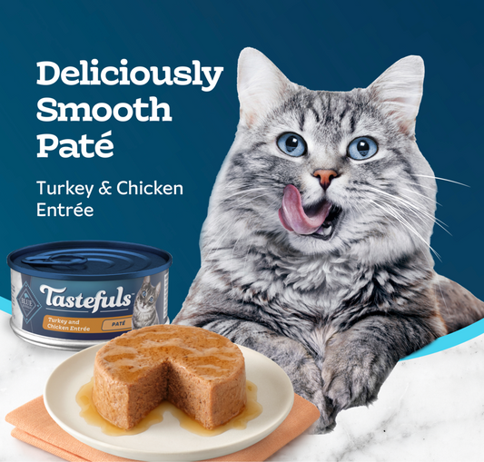 BLUE CAT TASTEFULS TURKEY CHICKEN 5.5z