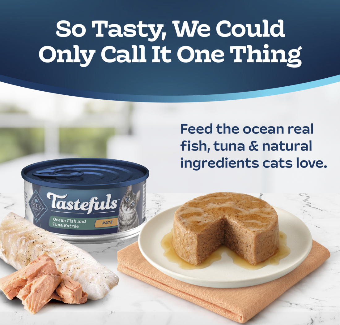 BLUE CAT TASTEFULS OCEAN FISH & TUNA 5 5z