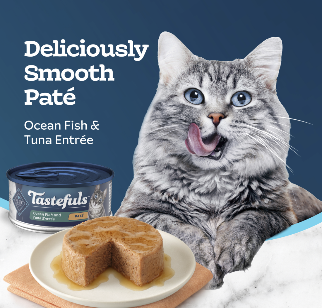 BLUE CAT TASTEFULS OCEAN FISH & TUNA 5 5z