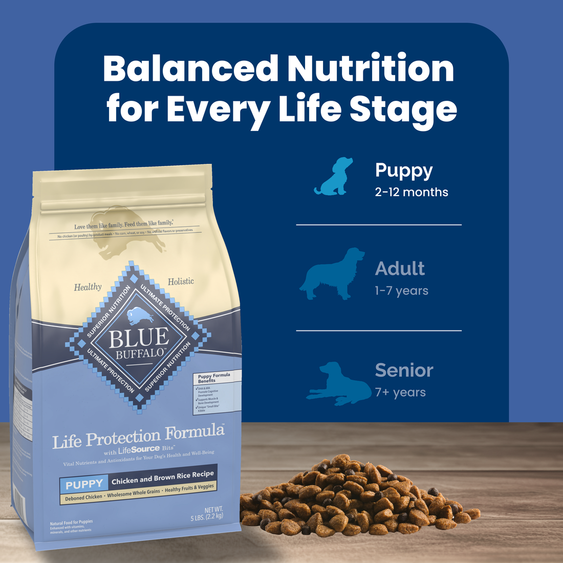 Blue Buffalo Life Protection Natural Chicken & Brown Rice Recipe Puppy Dry Dog Food