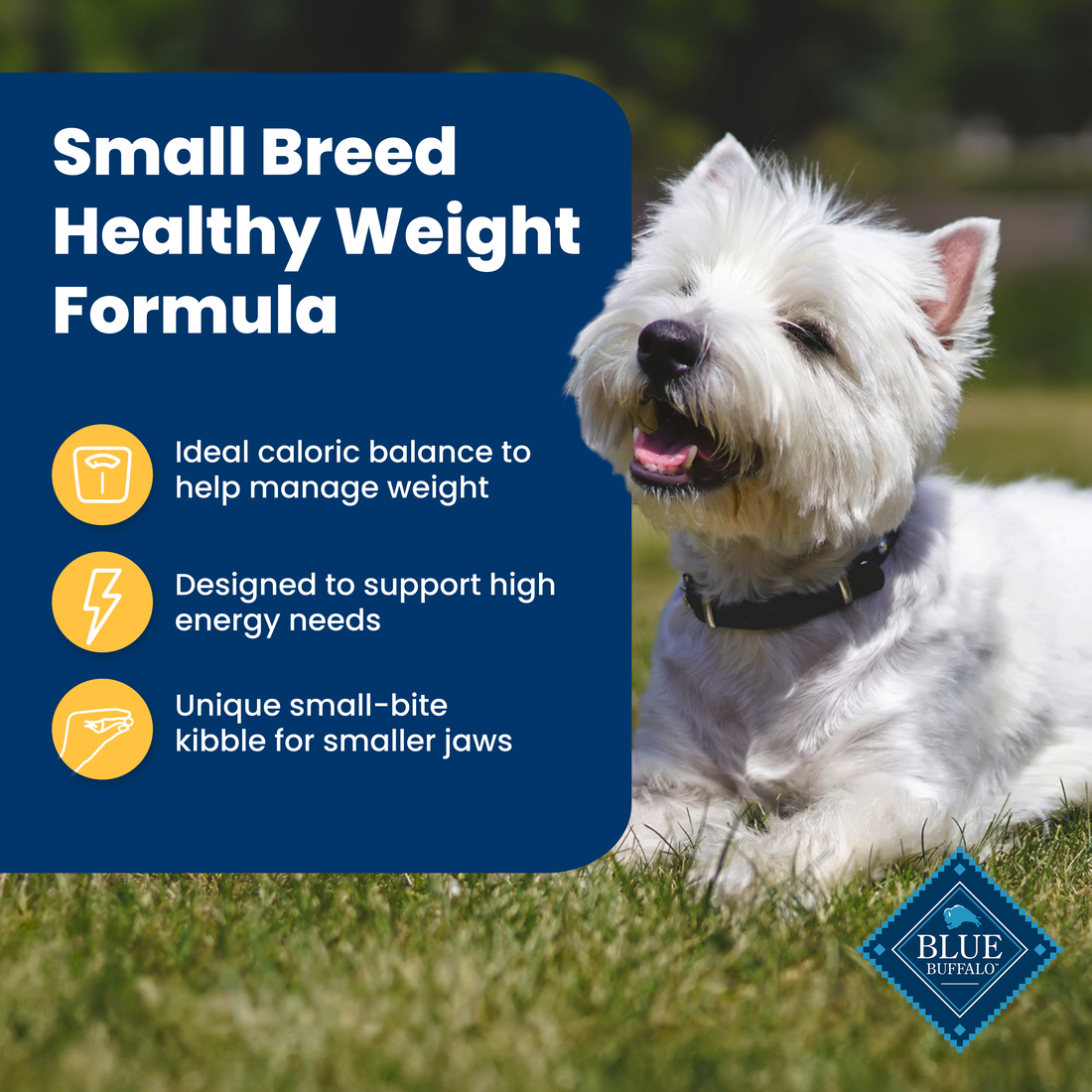 Blue Buffalo Life Protection Healthy Weight Natural Chicken & Brown Rice Recipe Small Breed Adult Dry Dog Food