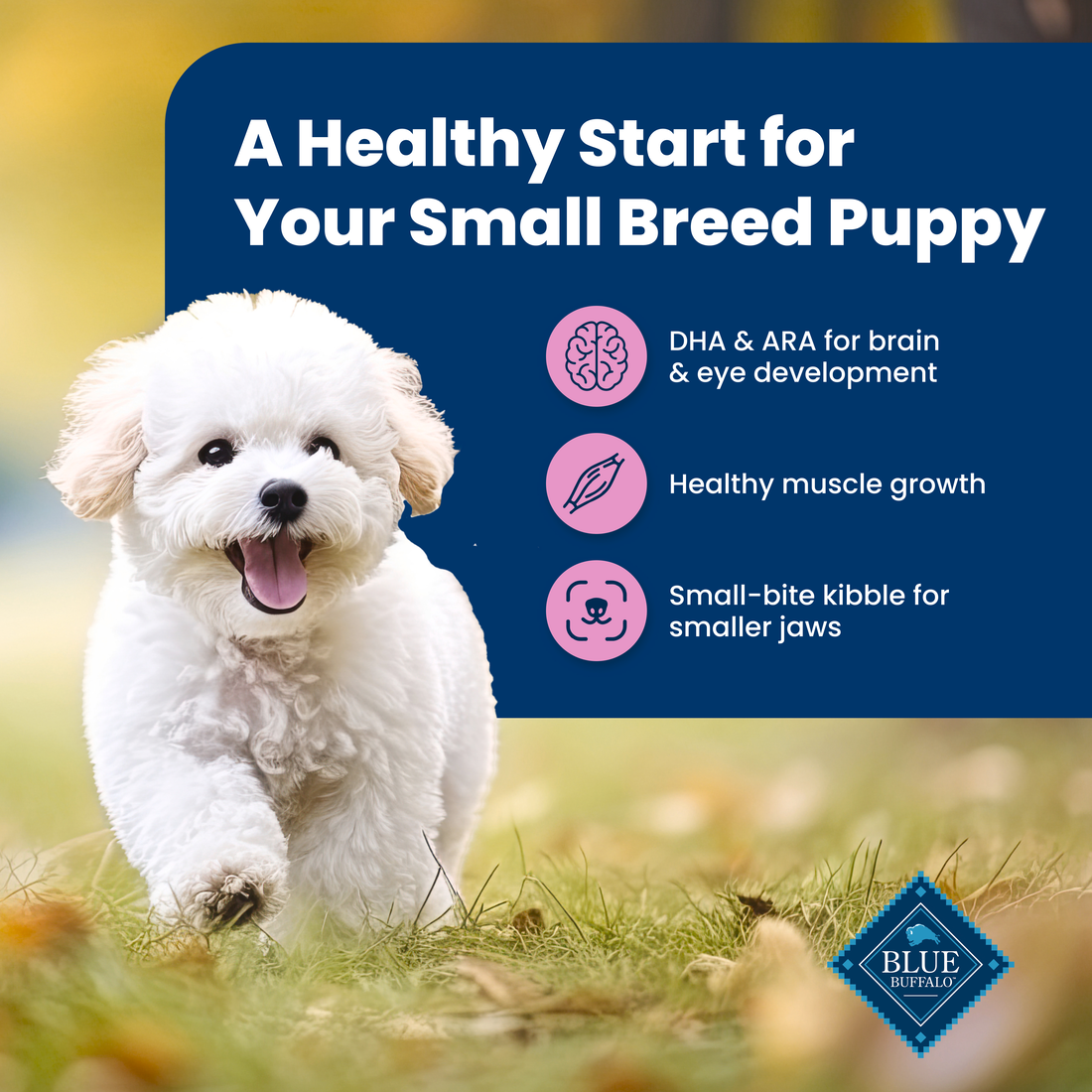 BLUE LIFE PROTECTION SMALL BREED PUPPY CHICKEN & OATMEAL 5#