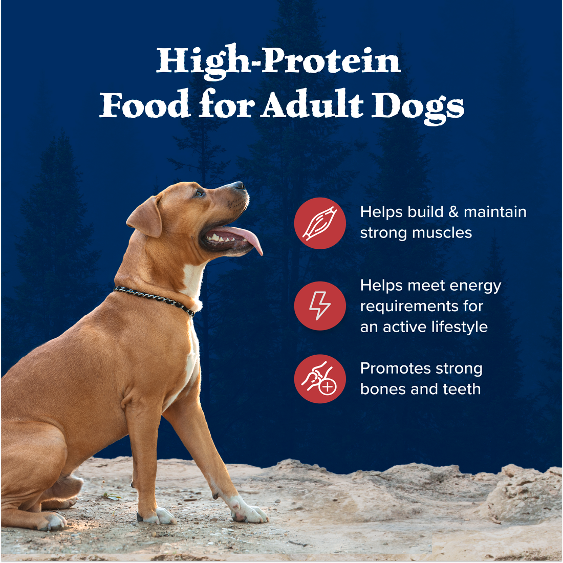 BLUE DOG ADULT WILDERNESS  ROCKY MOUNTAIN RECIPE-RED MEAT