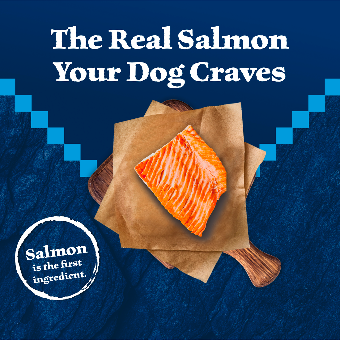 Blue Wilderness Salmon with Wholesome Grains recipe dry dog food