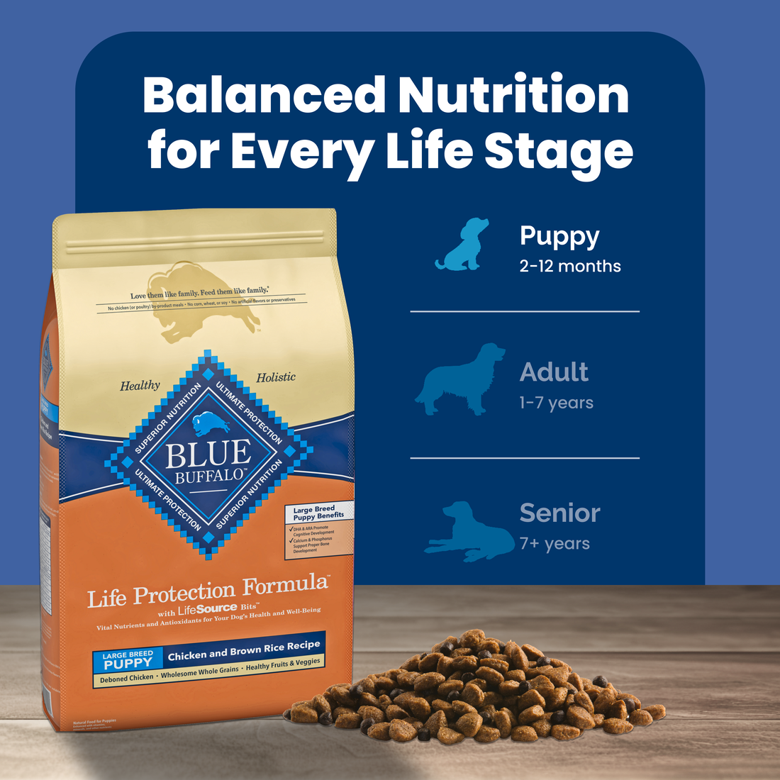 Blue Buffalo Life Protection Natural Chicken & Brown Rice Recipe Large Breed Puppy Dry Dog Food