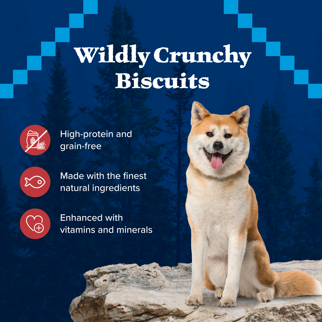 Blue Buffalo Wilderness Trail Grain Free Salmon Dog Treats