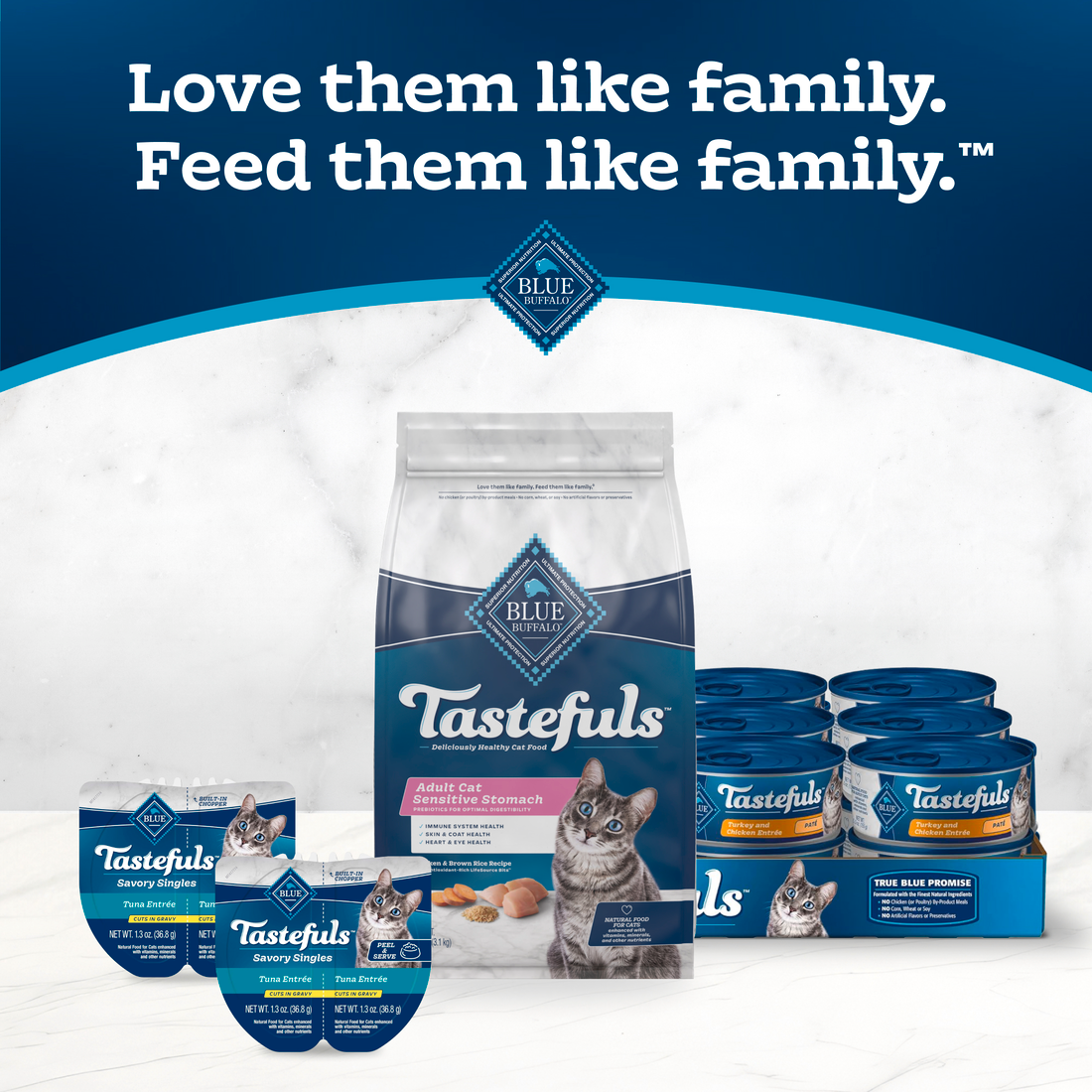 Blue Buffalo Sensitive Stomach Natural Chicken & Brown Rice Dry Cat Food