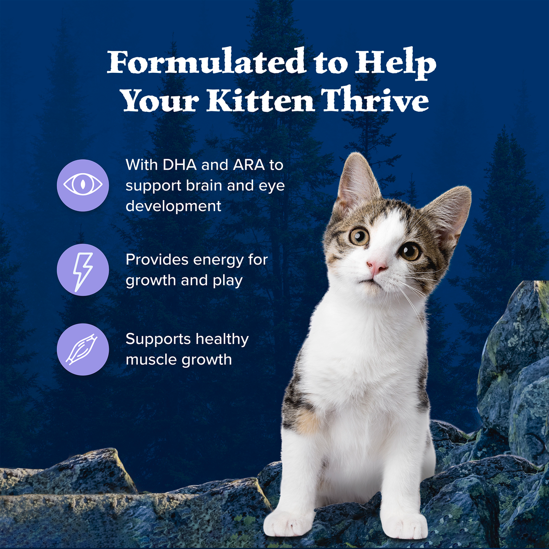 Blue Buffalo Wilderness Grain Free Chicken High Protein Recipe Dry Kitten Food