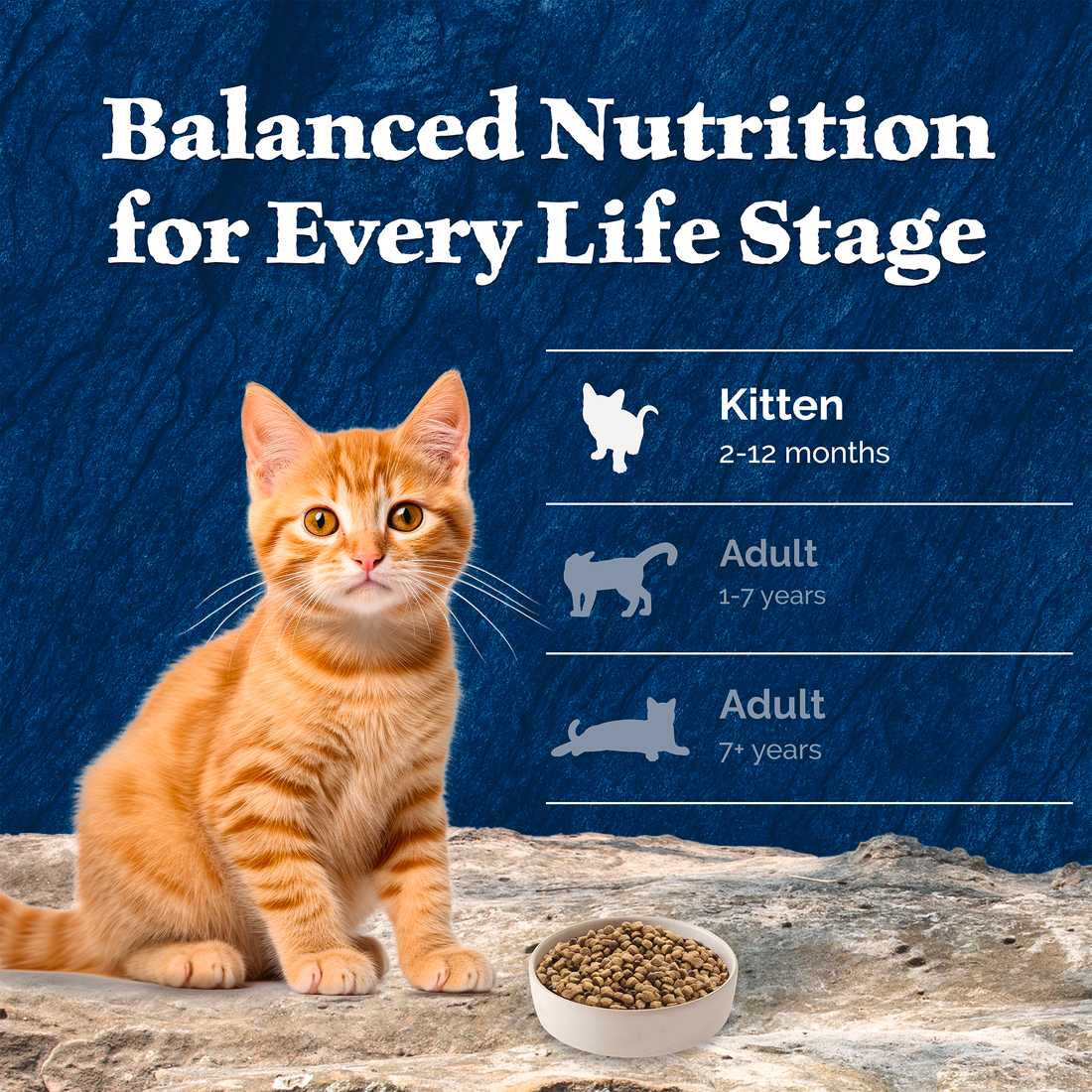 Blue Buffalo Wilderness Grain Free Chicken High Protein Recipe Dry Kitten Food