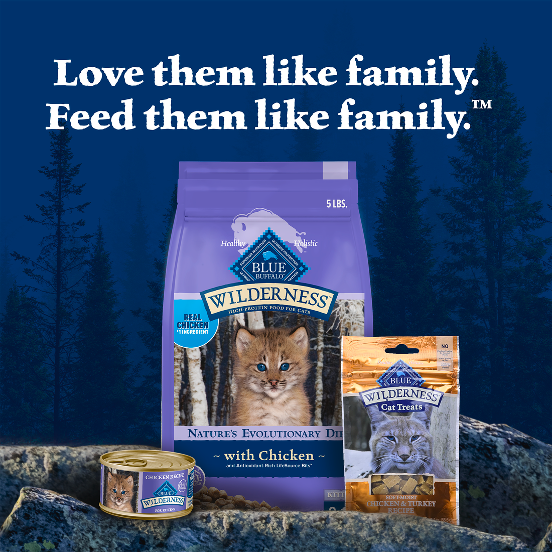 Blue Buffalo Wilderness Grain Free Chicken High Protein Recipe Dry Kitten Food