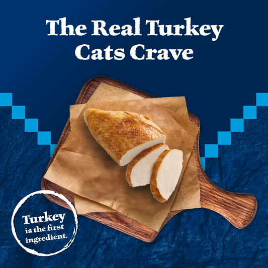 Blue Buffalo Wilderness Grain Free Turkey Canned Cat Food