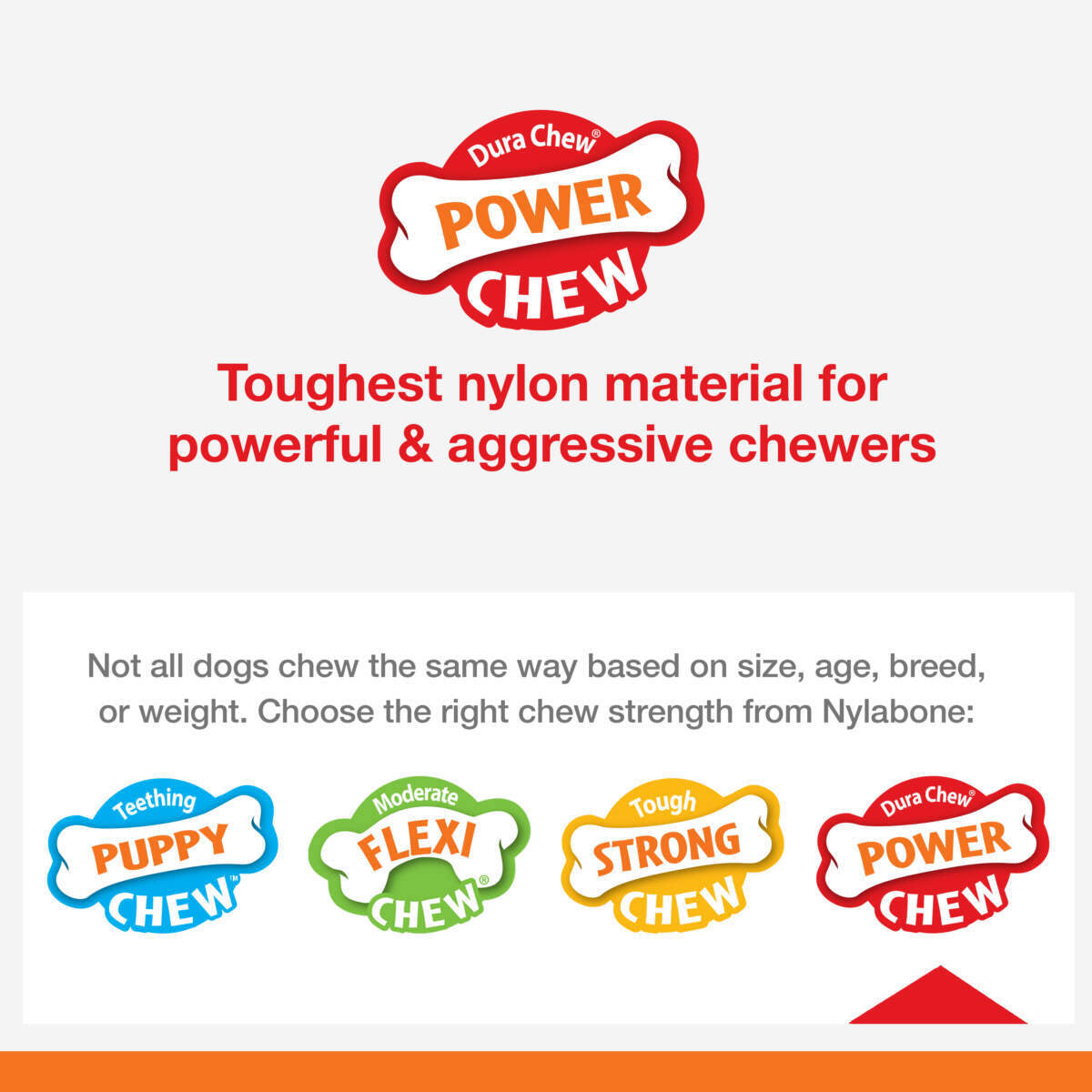 NYLABONE POWER CHEW LOBSTER DOG TOYS