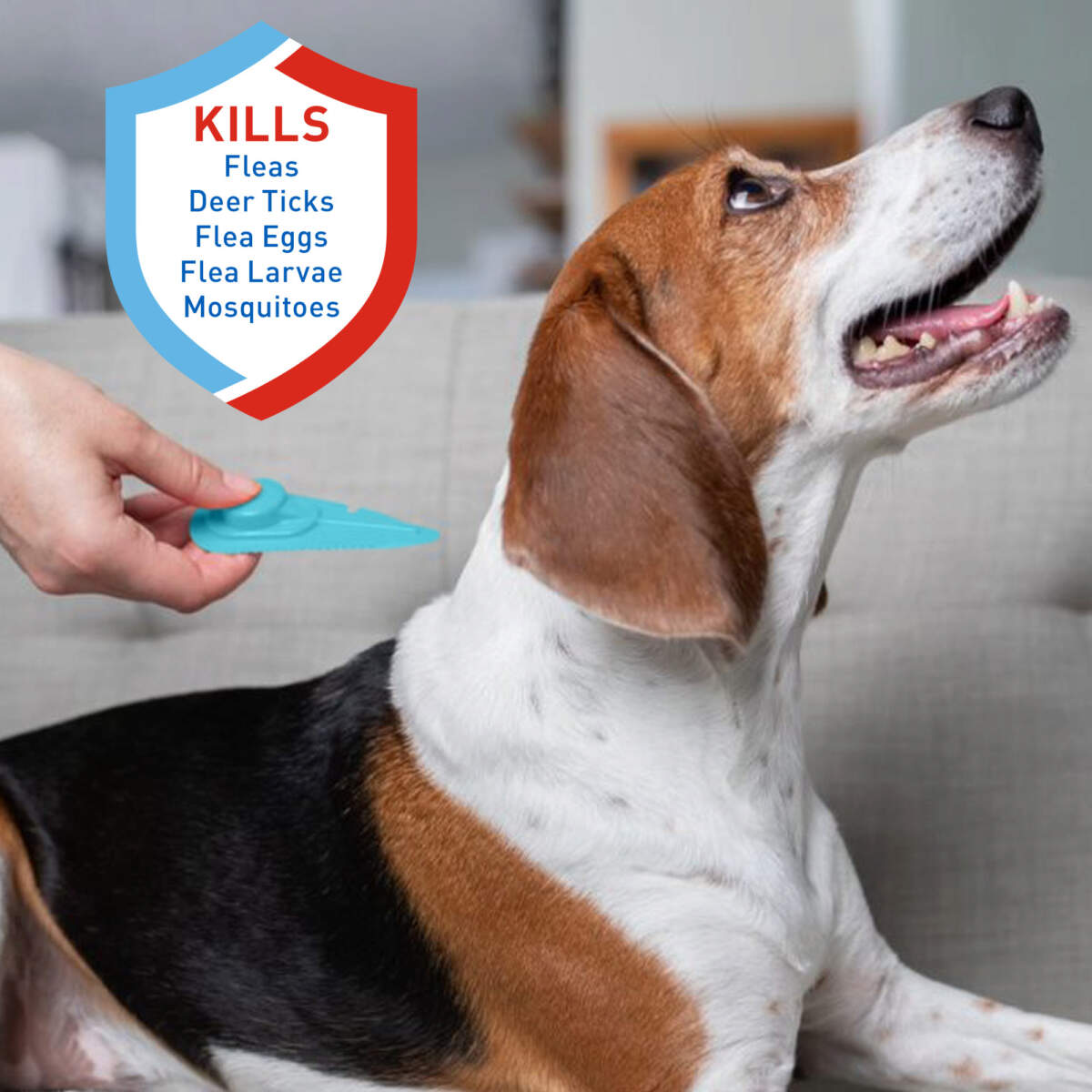 ADAMS Plus Flea & Tick Spot On for Dogs