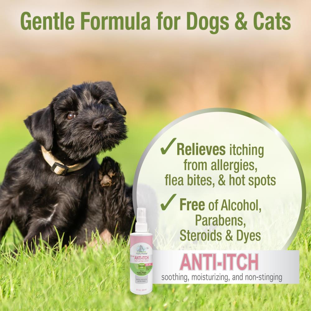 4PAWS PET AID ANTI ITCH SPRAY 8 oz