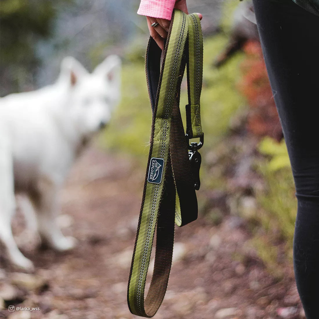 Coastal K9 Explorer Reflective 6-ft Dog Leashes