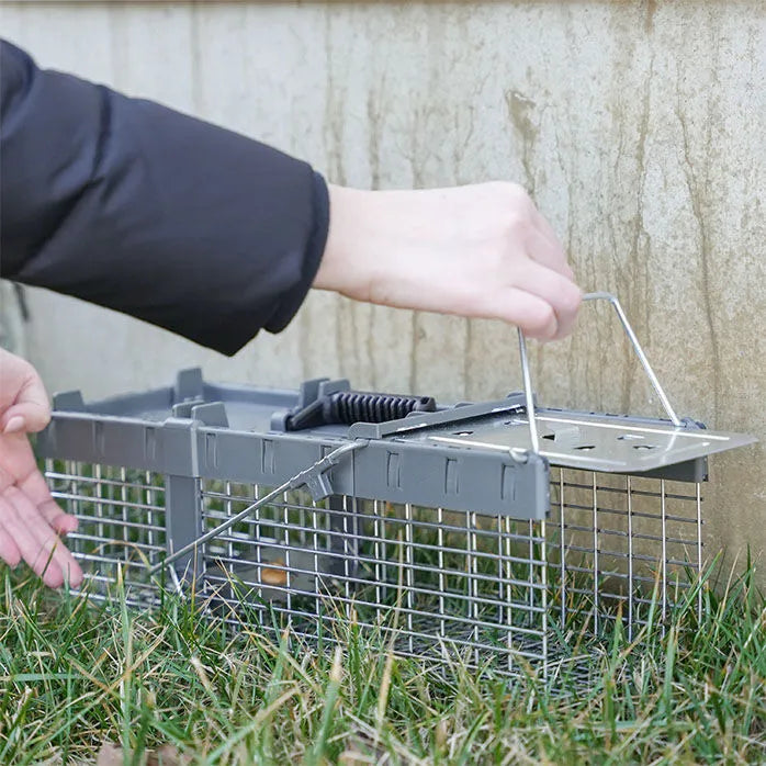 HAVAHART Small 1DR SMALL ANIMAL LIVE TRAP