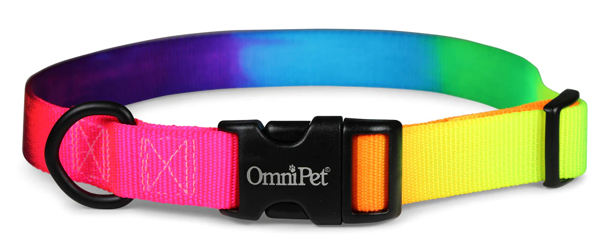 OmniPet 1" Rainbow design Collar, Harness & Lead