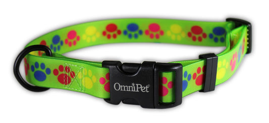 OmniPet Pop Paws Dog Collars & Leash