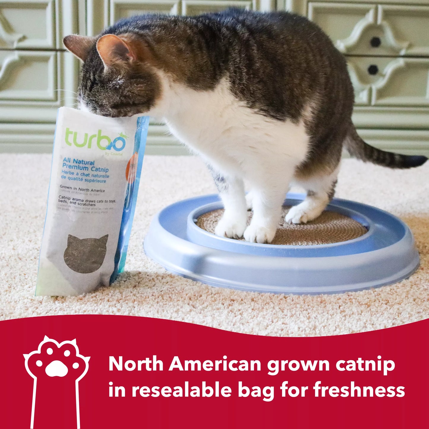 TURBO CATNIP POUCH .5oz