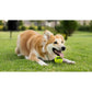 PETSPORT GIANT TUFF BALLS 4"