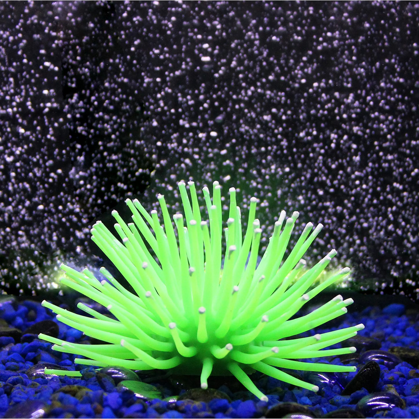 PPLX LED SEA ANEMONE w/REMOTE