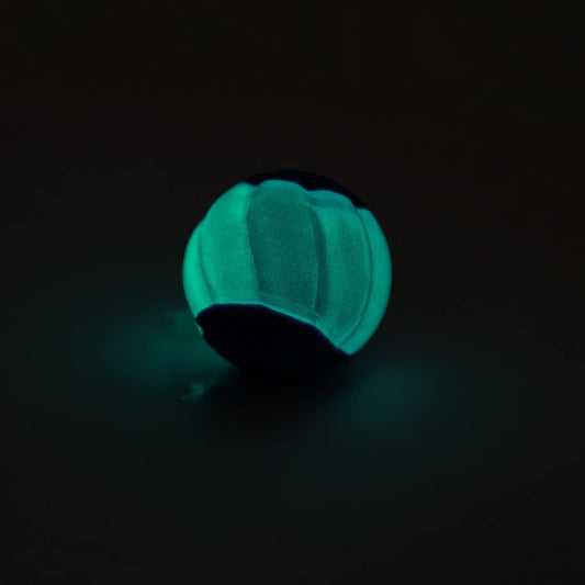 ZEUS Duo ball with squeaker and glow in the dark 2pk
