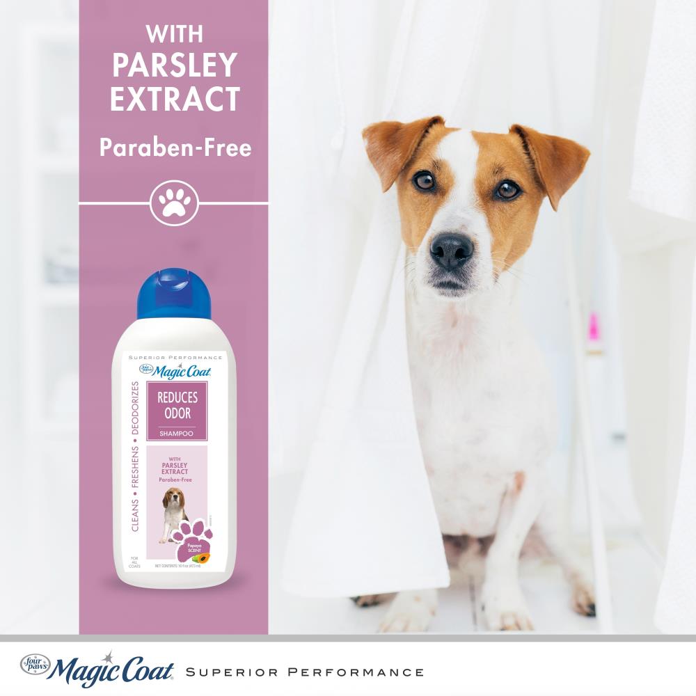 4 PAWS Magic Coat Papaya Scented Odor Reducing Dog Shampoo