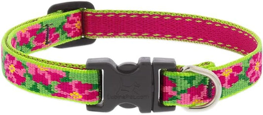 LUPINE PETUNIAS eco-COLLAR & LEASHES