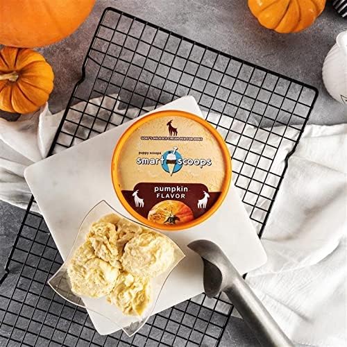 SMART SCOOP ICE CREAM 6z PUMPKIN