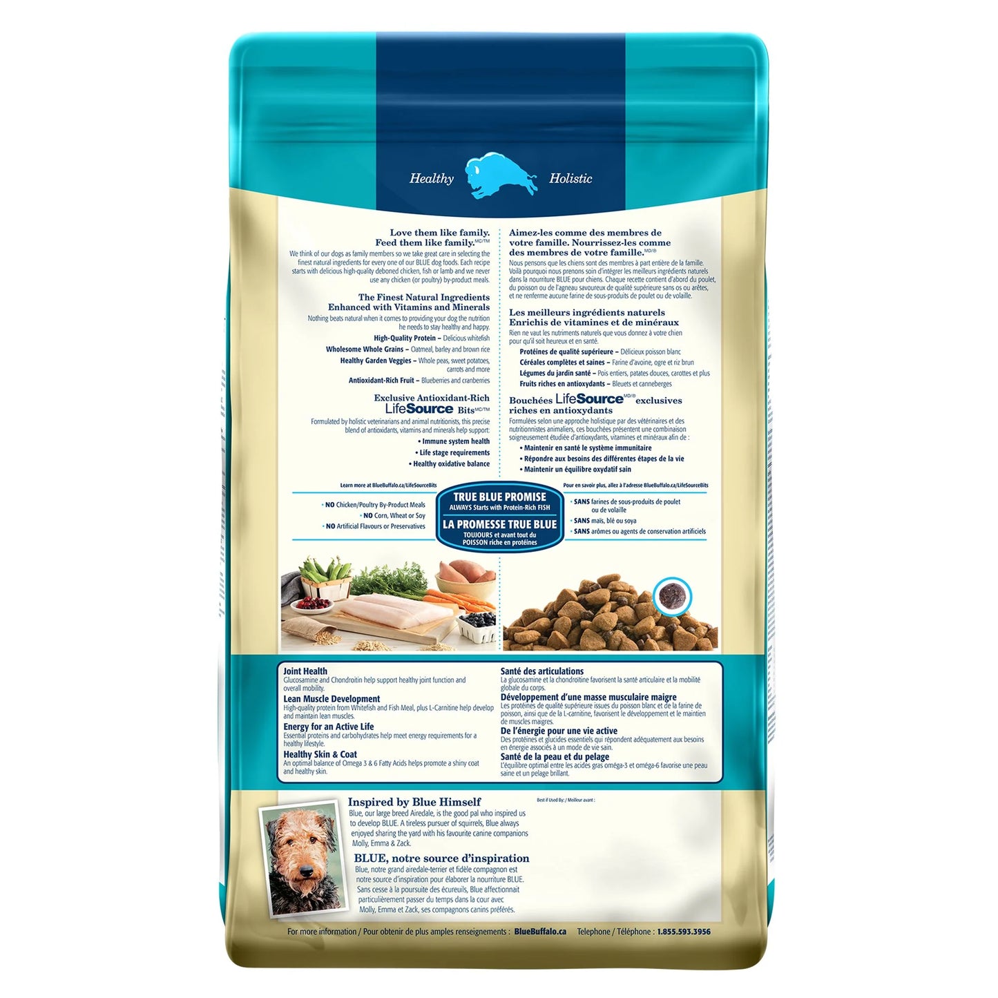 Blue Buffalo Life Protection Natural Fish & Oatmeal Recipe Large Breed Adult Dry Dog Food