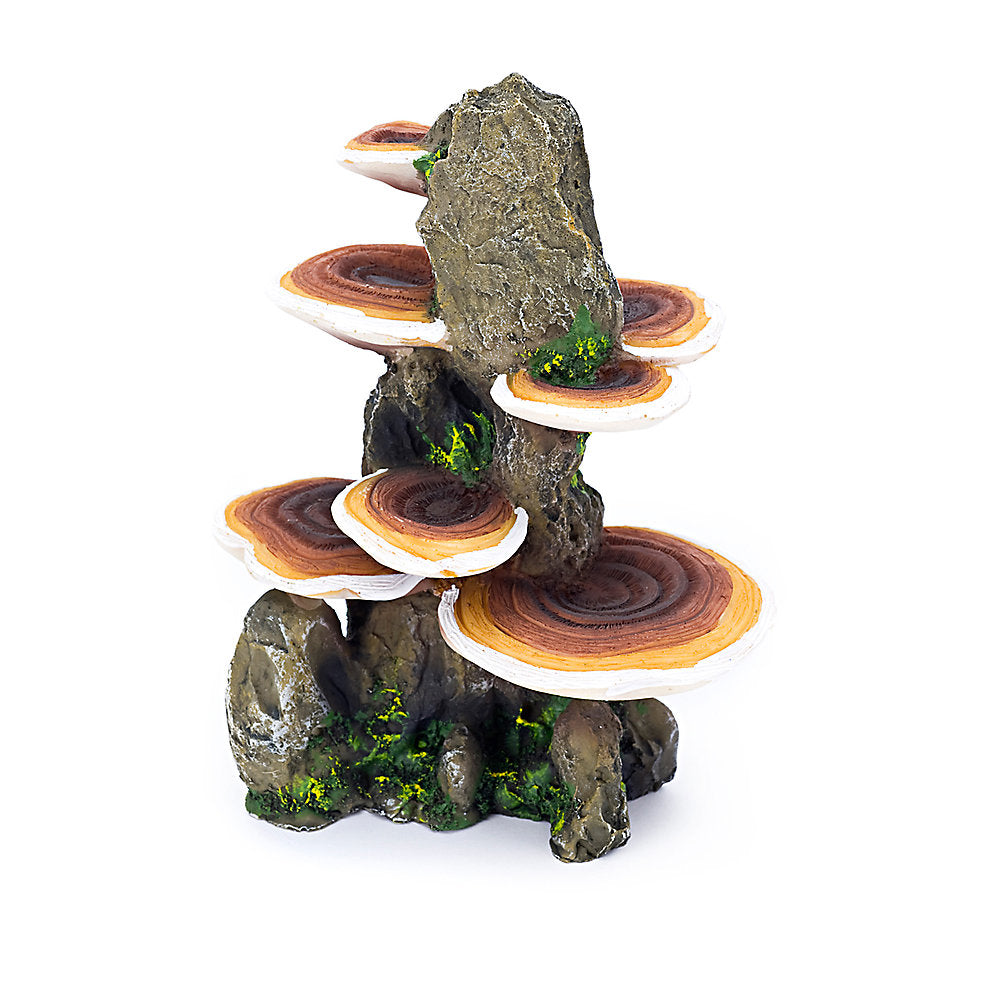 PENN PLAX MUSHROOM ON ROCK