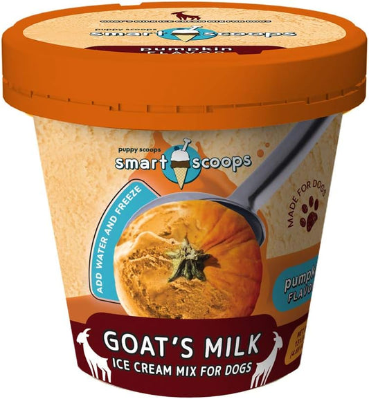 SMART SCOOP ICE CREAM 6z PUMPKIN