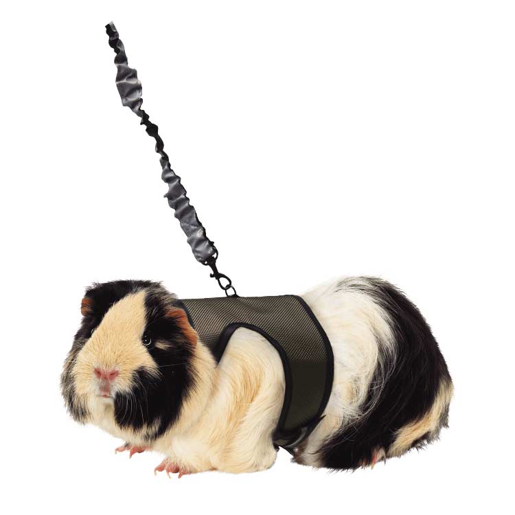 SUPER PET COMFORT HARNESS & STRETCHY LEASH