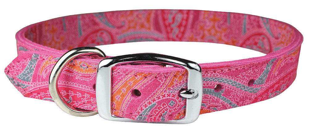 The Paisley Collection Dog Collars by OmniPet