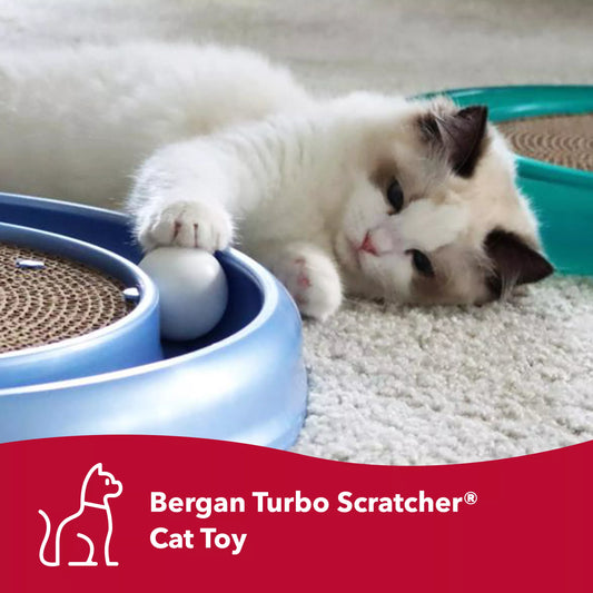 Turbo Scratcher cat toy